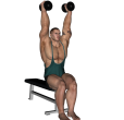 Triceps Extension - Seated Dumbbell Narrow Alternate